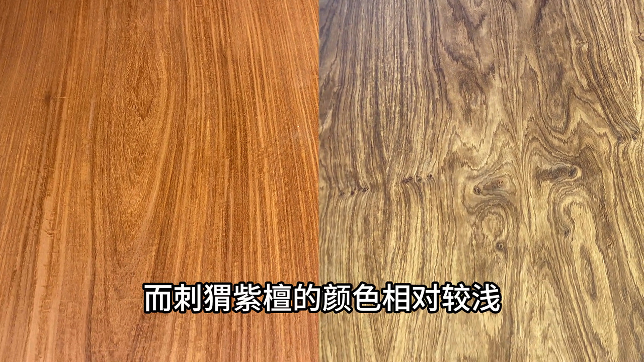 刺猬紫檀对比大果紫檀.jpg